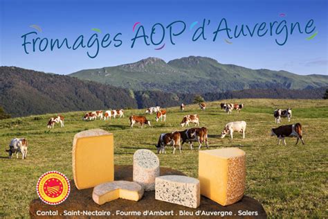 De kazen van de Auvergne